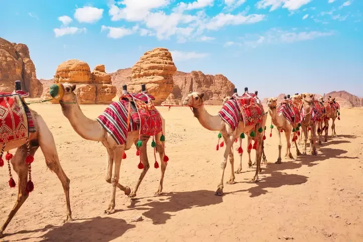 Saudi Arabia & Egypt Cultural Tour Saudi Arabia & Egypt Cultural Tour